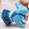 Designer Blue Grucci Dog Bathing Suit