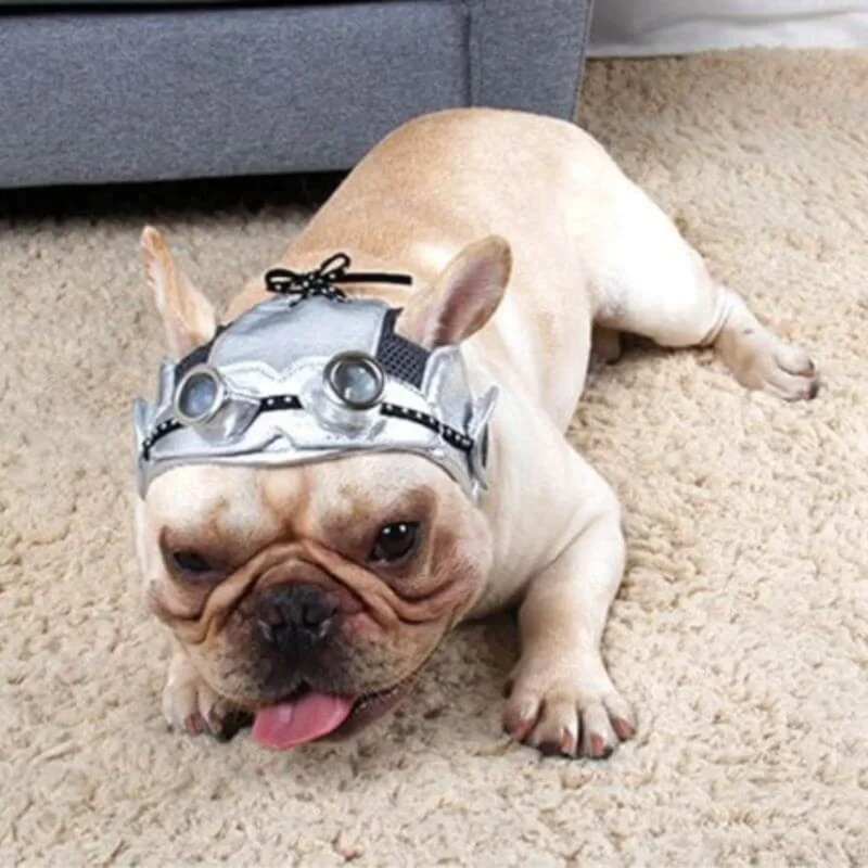 silver pu leather bomber hat for dog