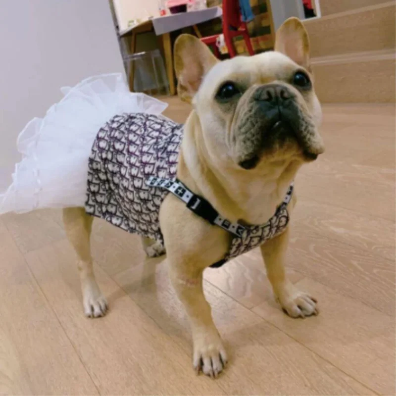 dior ruffle dress for dogs