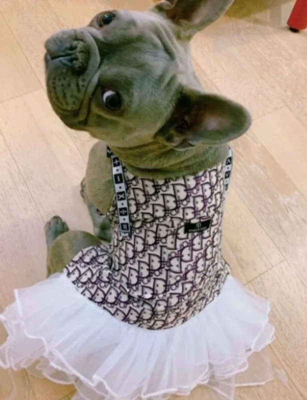 dior ruffle dress for dogs