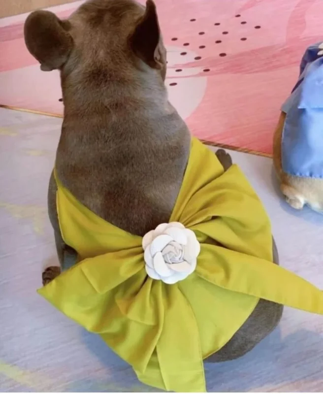 gold Dress with Bow on Back for Dogs