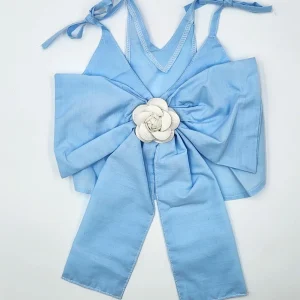 Light Blue Dress with Bow on Back for Dog