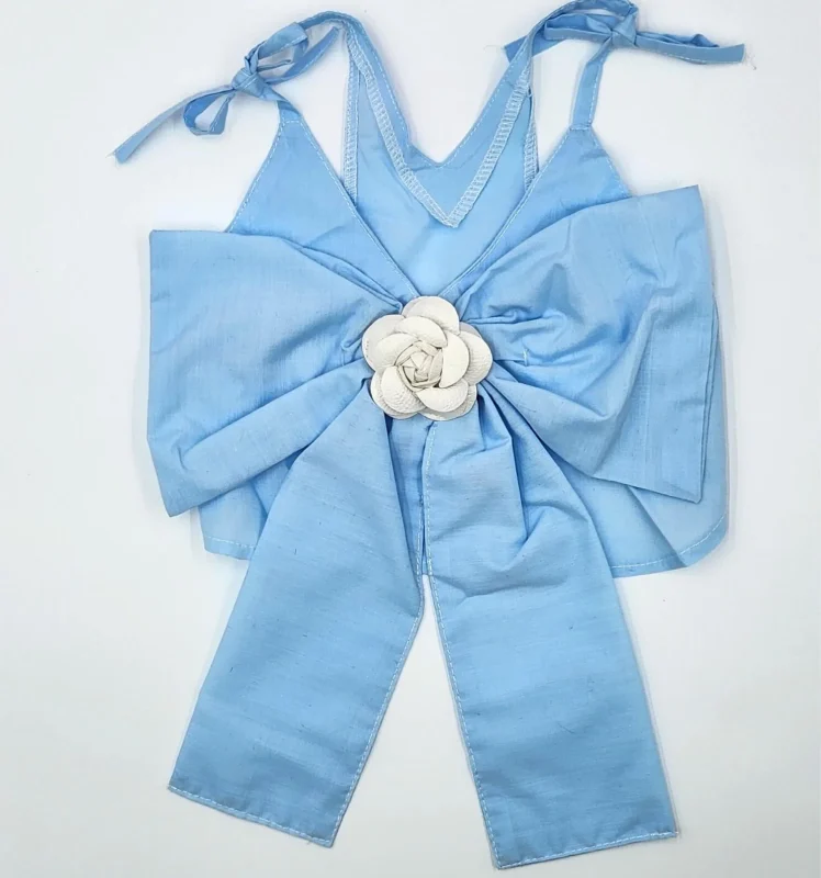 Light Blue Dress with Bow on Back for Dog