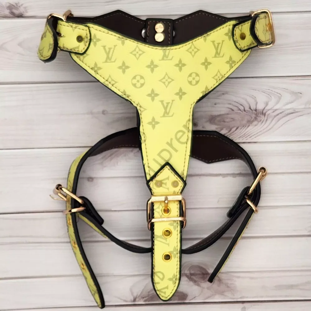 VUITTON YELLOW Harness and Matching Leash