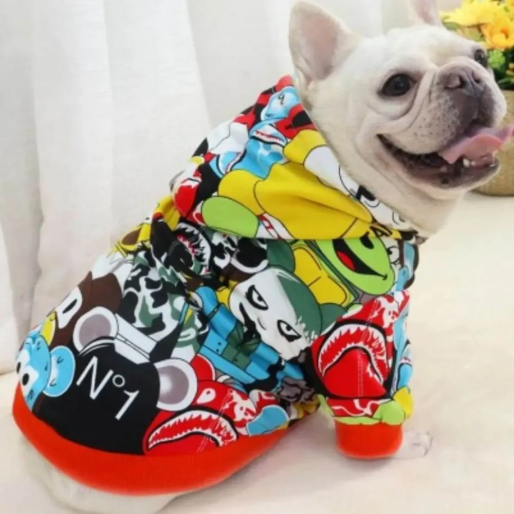 frenchie wearing cartoon coat