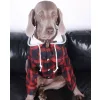 Chic Plaid Fabric and Cozy Hood Shirt For Large Breeds