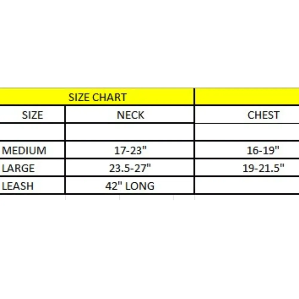 LOUIE VUITTON SIZE CHART