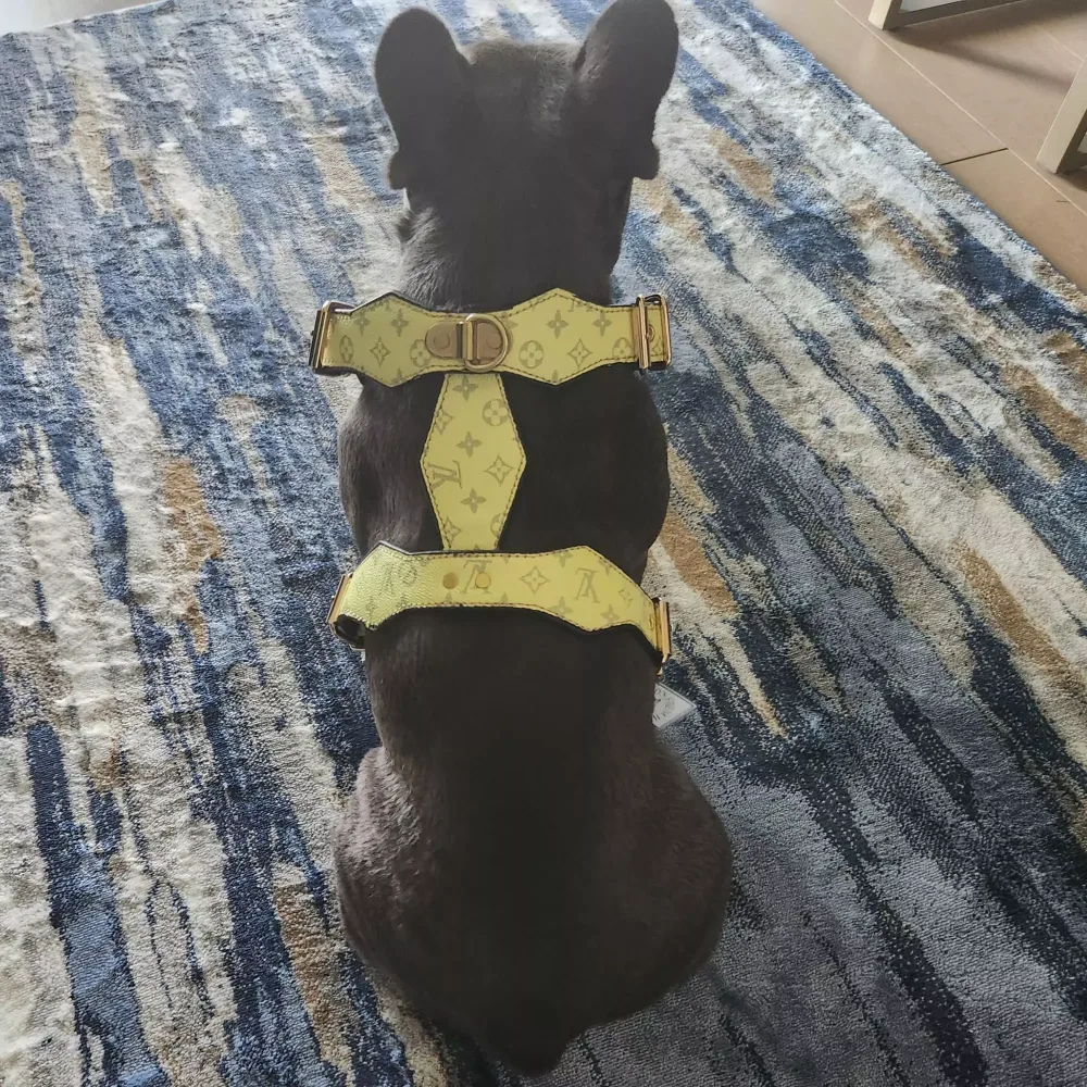 VUITTON YELLOW Harness and Matching Leash