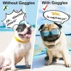 Paws-itive Shades Amplifies -Stylish Black Sunglasses for Dogs