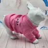 Chic Canine Couture: Personalized Palenciaga Pink Sweater for Dogs