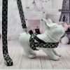 Louie Black / White Harness is 1 of a Kind