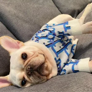 Dapper Dogs, Meet Your New Favorite Sweater4