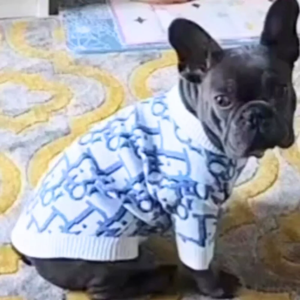 Dapper Dogs, Meet Your New Favorite Sweater7