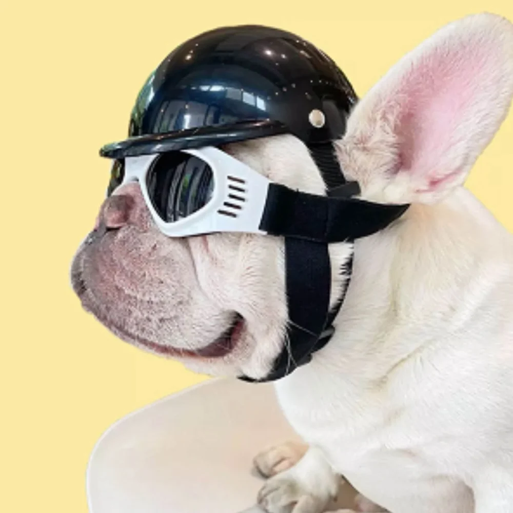 Russian Biker Helmet for Dogs9