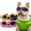 Shady Paws Doggy Sunglasses in Cool Black, Blue, and Yellow