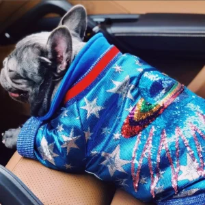 French Bulldog Blue Sparkle Space Bomber Jacket