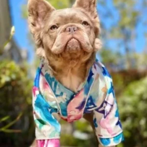 Designer Clothing for your Furry Friends