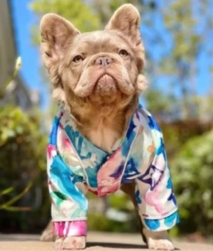 Designer Clothing for your Furry Friends