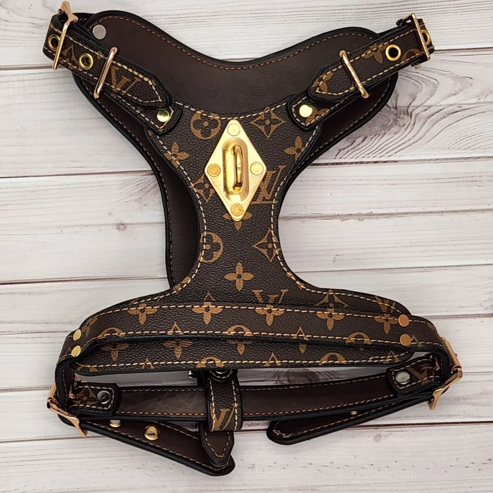 LOUIE HARNESS & MATCHING LEASH2